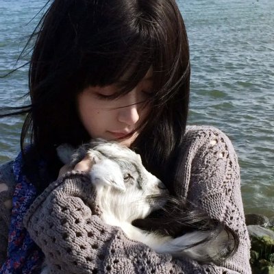 完美的蛇颈龙之日